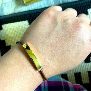 Magnetic Bracelet Fossil